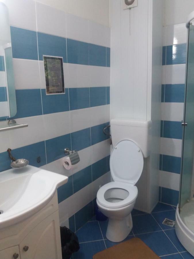Cotesti  Pensiunea Paradis Vrancean מראה חיצוני תמונה